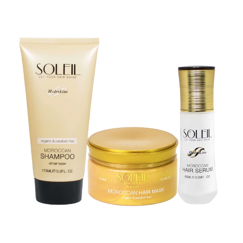Soleil Starter Repair System